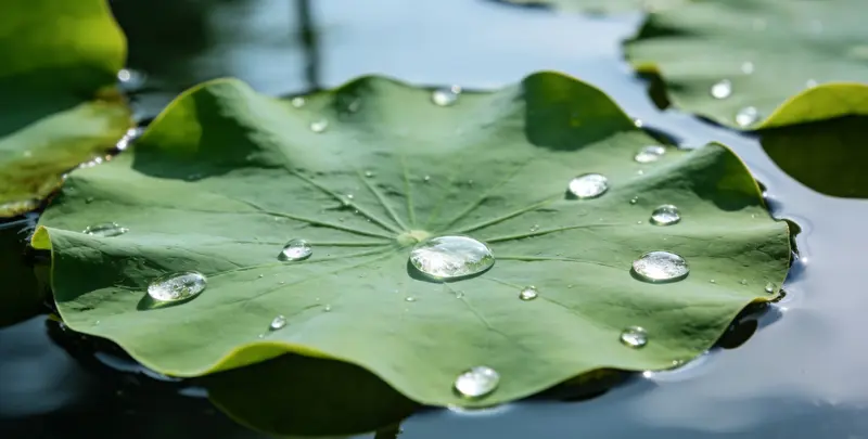 遵义乳腺癌21基因mRNA表达分析图片1