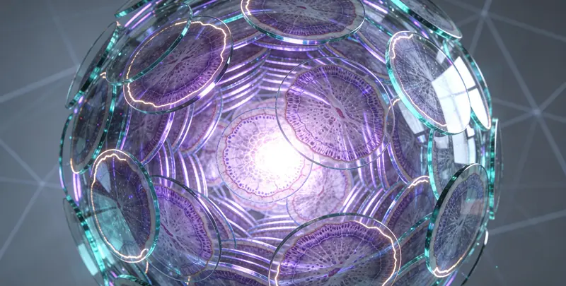 血液肿瘤综合检测 (突变版)图4